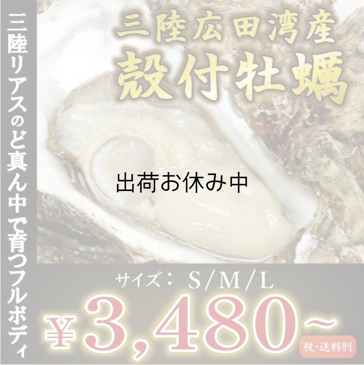 画像1: 三陸広田湾産　殻付牡蠣 (1)